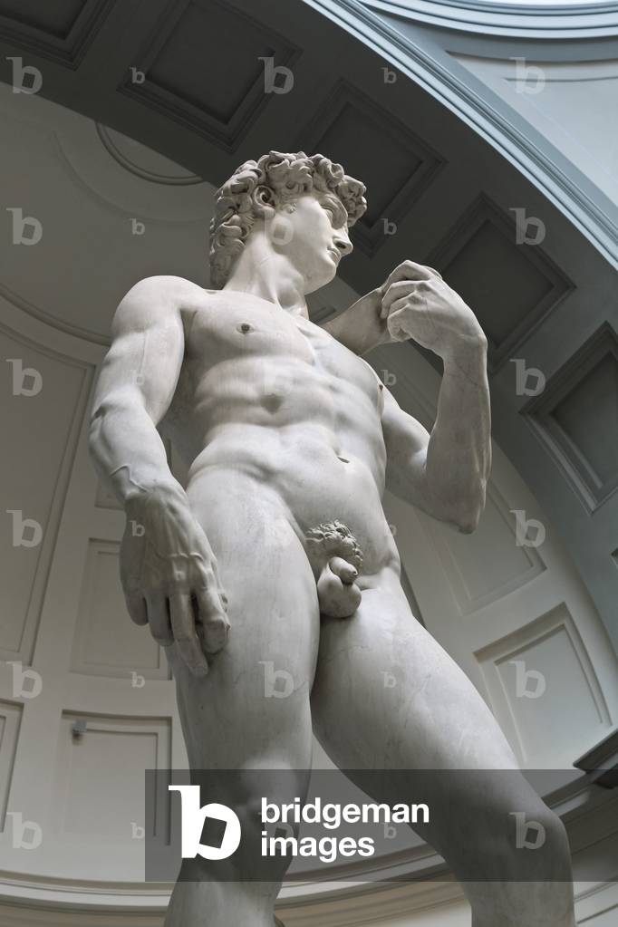 David, 1501-1504 (sculpture)