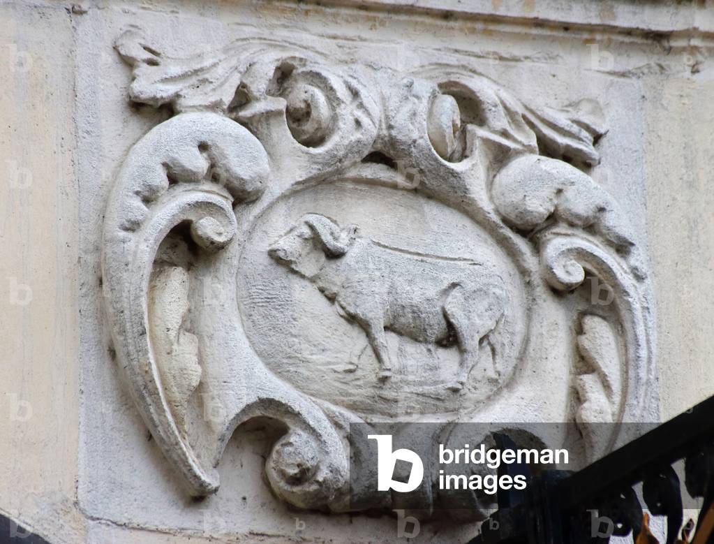 The Golden Buffalo, Facade of 48 square des Heros, Arras, Pas-de-Calais, France, 2019 (photo)