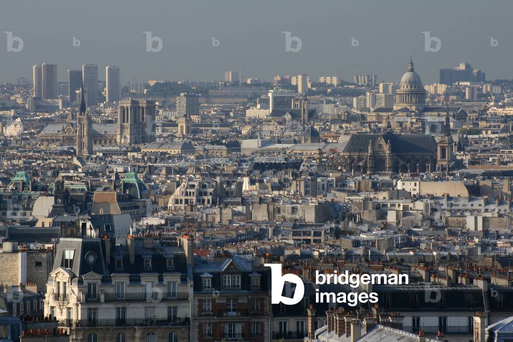 View of the rooftops of Paris