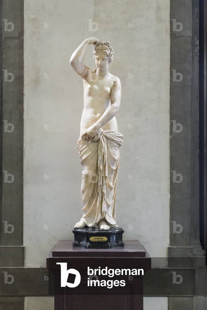Statue of Venus, so called 
