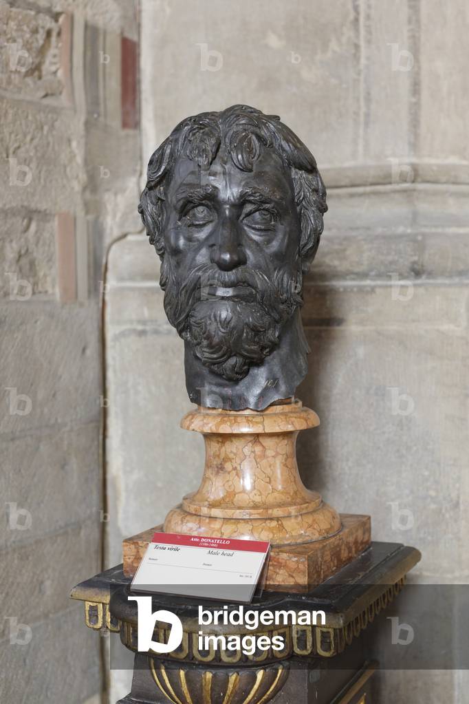 Male head, 15th century (bronze)