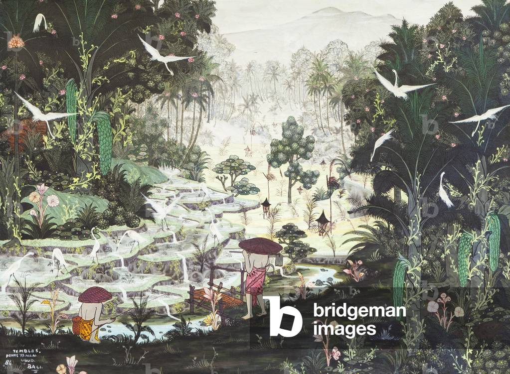 Rice field scene, 1986 (oil on canvas)