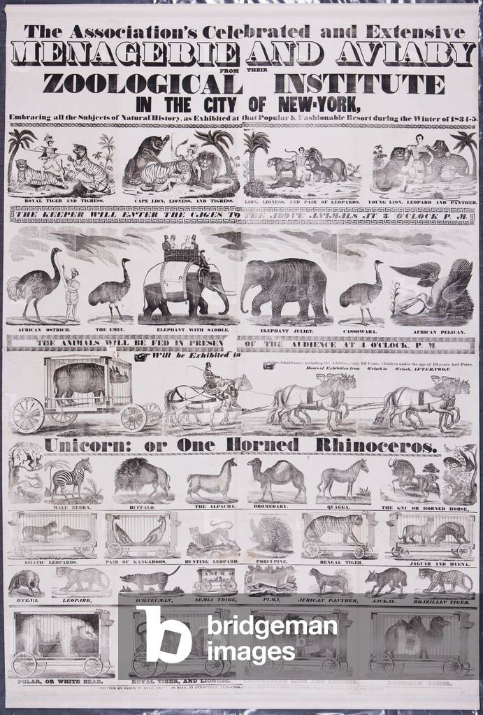 The Association's Celebrated and Extensive Menagerie and Aviary from their Zoological Institute in the City of New York, 1835 (litho)


