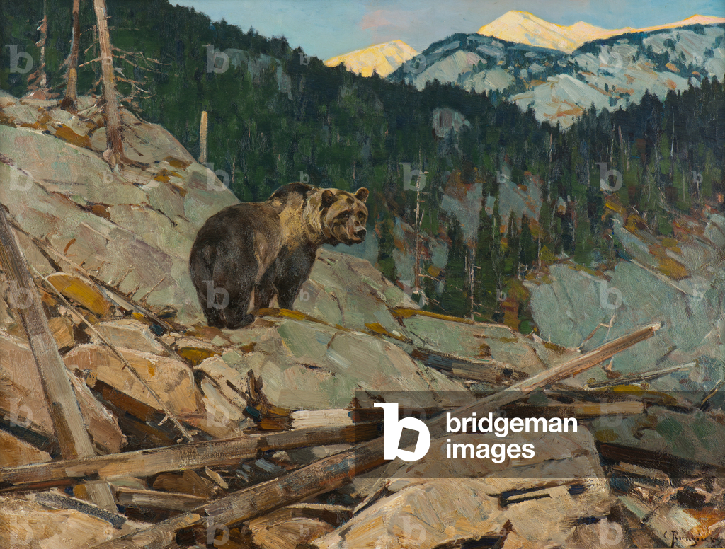 Grizzly Bear, 1895-1950 (oil on canvas)