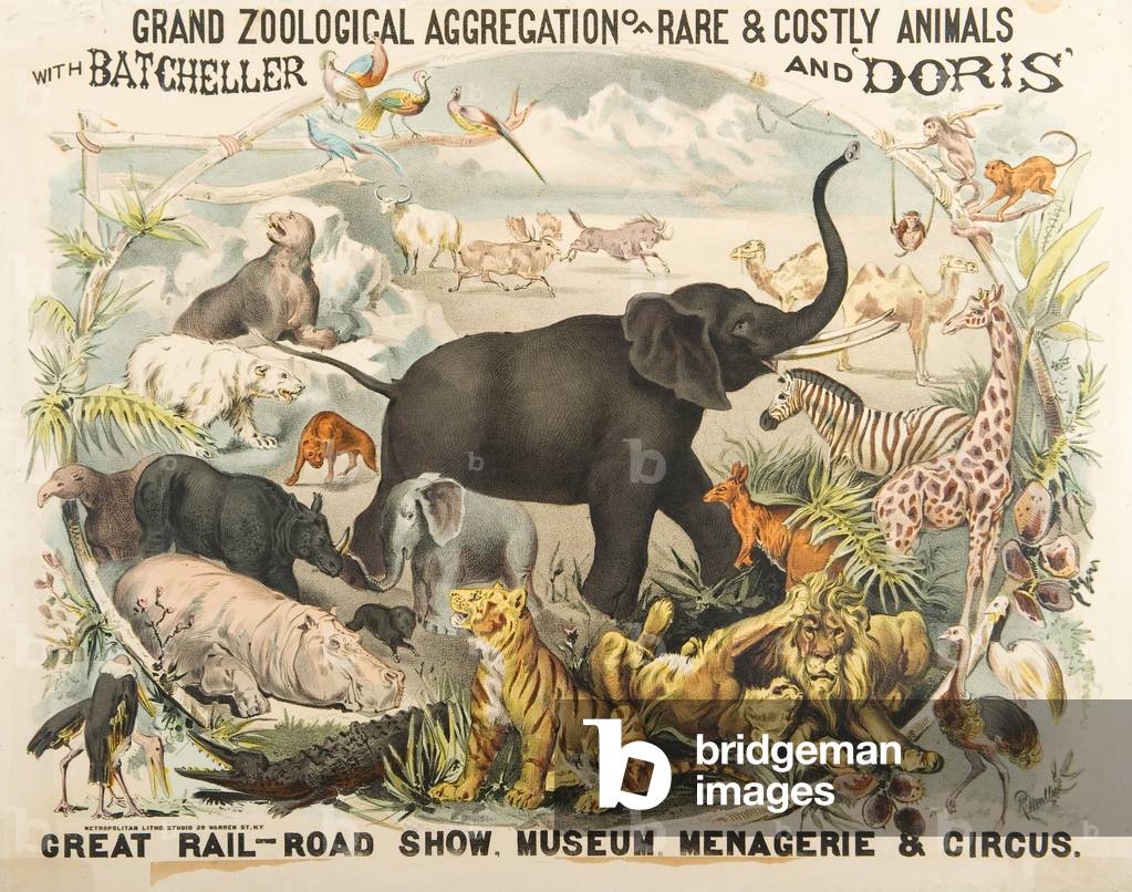 Grand Zoological Aggregation of Rare and Costly Animals with Batcheller and Doris (chromolitho)