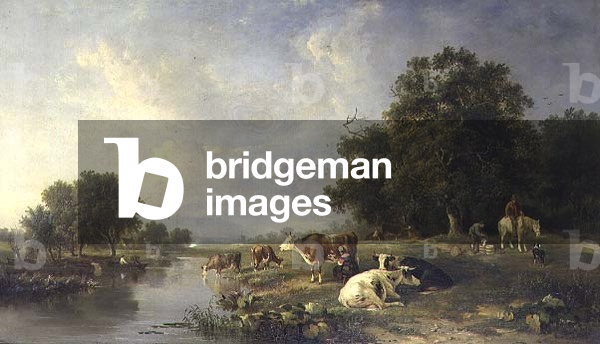 Landscape with cattle