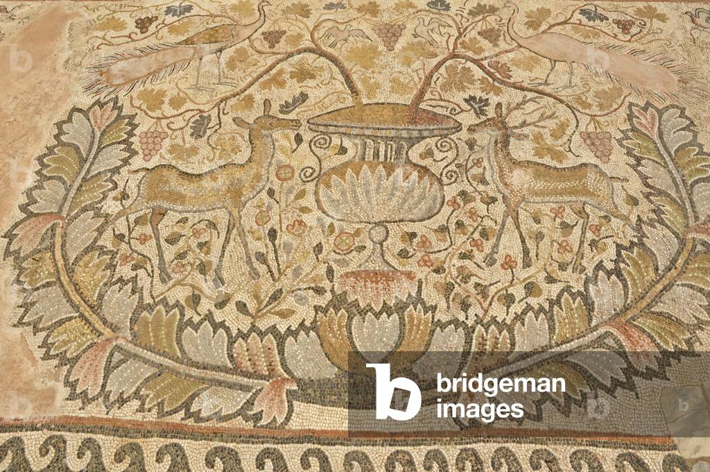 Heraclea Lyncestis archaeological site, mosaic detail in the Great Basilica, a fawn, a stag, a peacock and a tree in pot, Bitola, Macedonia, Europe