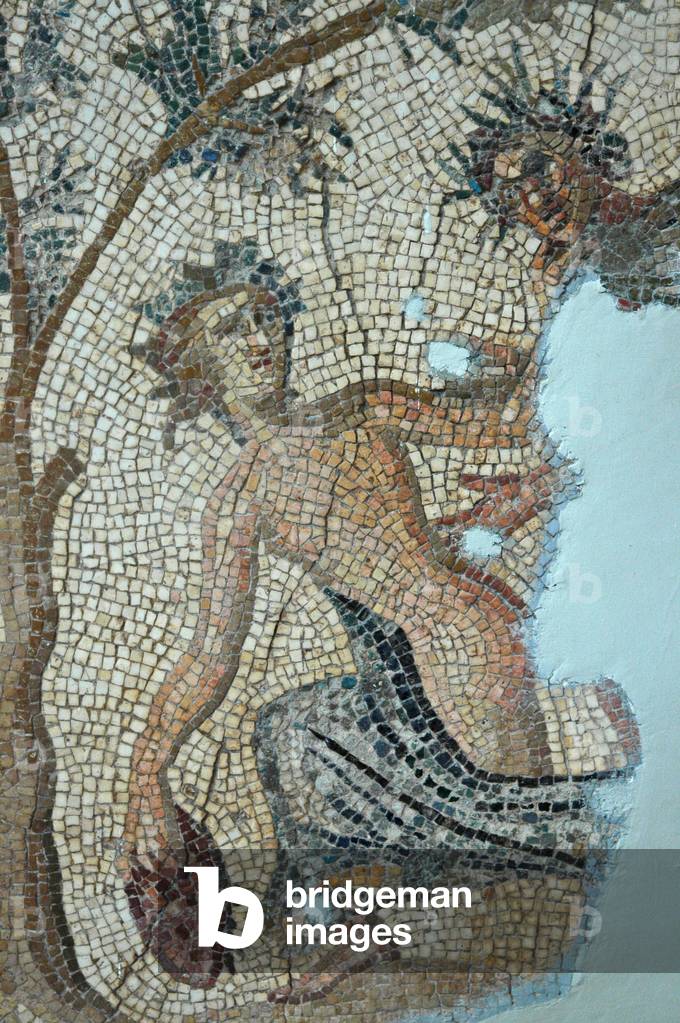 Mosaic of Apollo and Daphne from Daphne,Turkey
