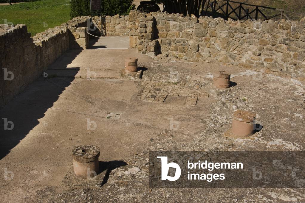 Porticoed latrines, Villa Romana del Casale, Piazza Armerina, Sicily, Italy (photo)