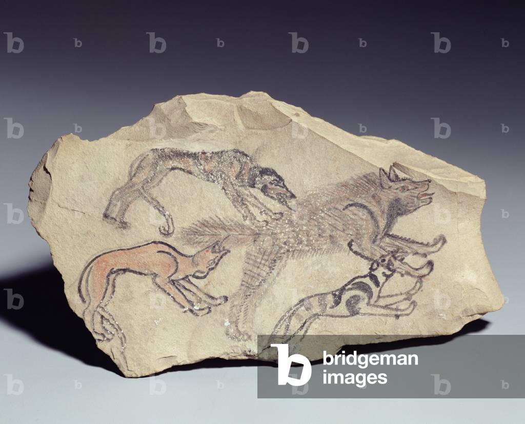 "Ostracon raffigurante un cane che insegue una iena (calcare)" di New Kingdom Egyptian