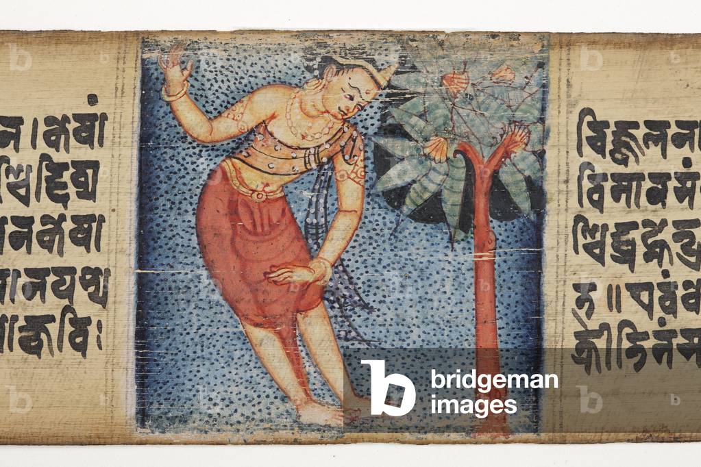 Sudhana standing beside a tree, from the Gandavyuha (opaque w/c & ink on palm leaf)