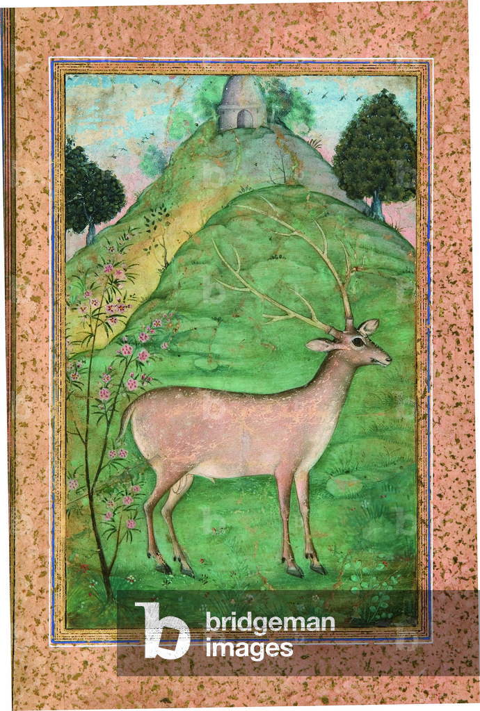 Buck in a Landscape, c.1595 (opaque w/c & gold on paper)