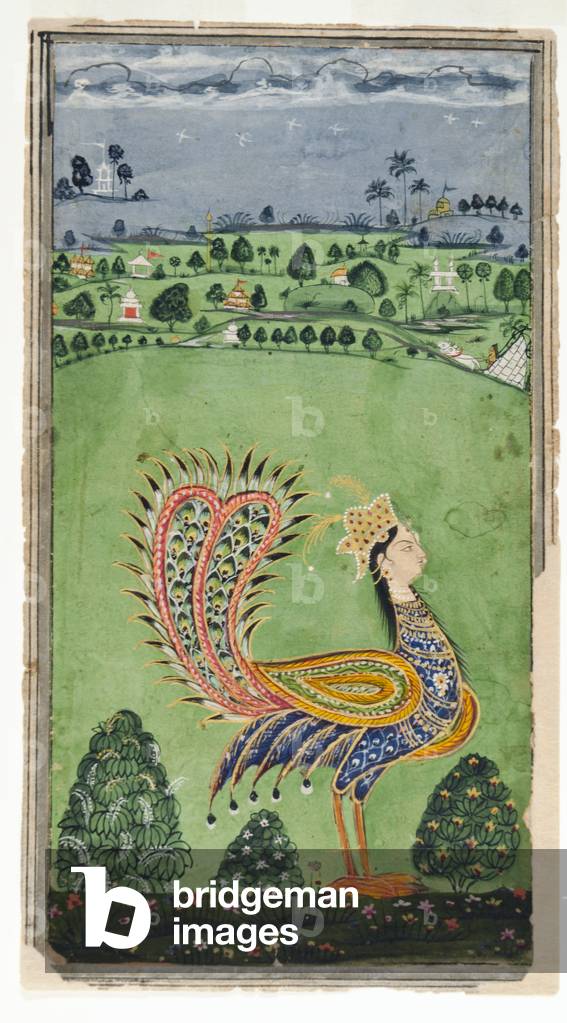 Mythical peacock with a woman's head, Hyderabad, c.1750 (opaque w/c & gold on paper)