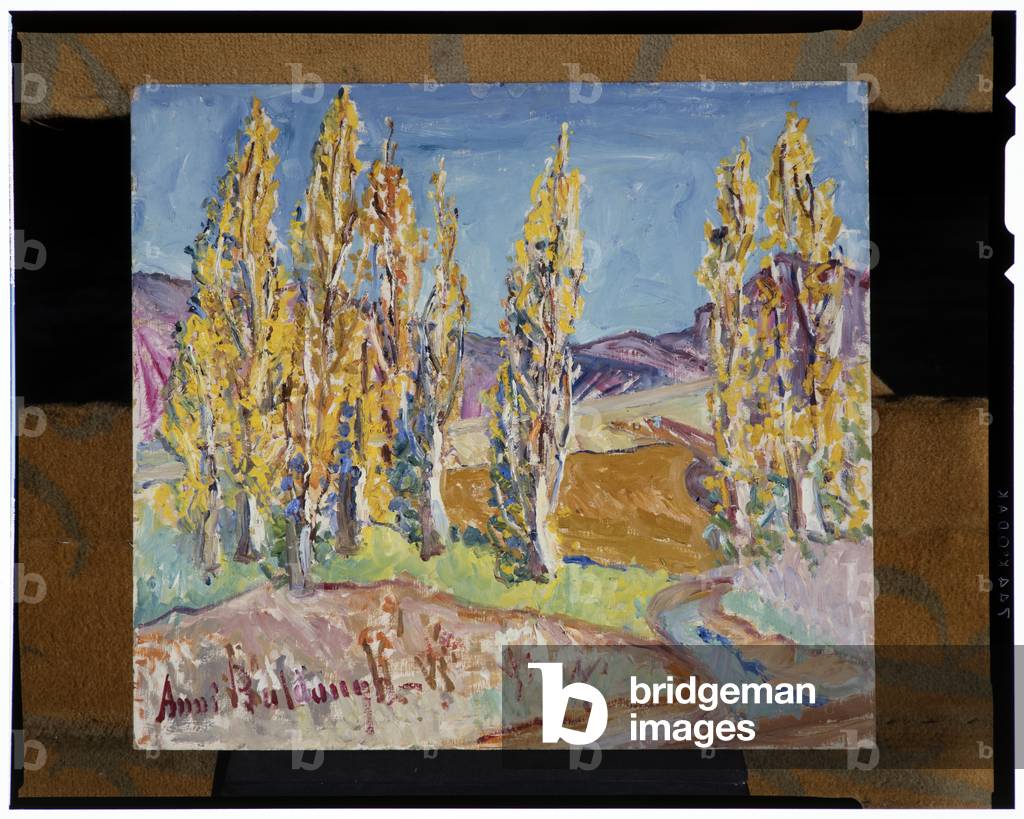 Poplars (oil on board)