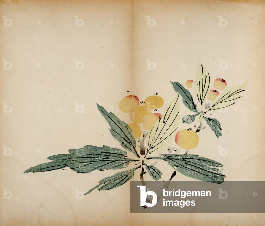 Ten Bamboo Studio Prints,1643 (woodblock)