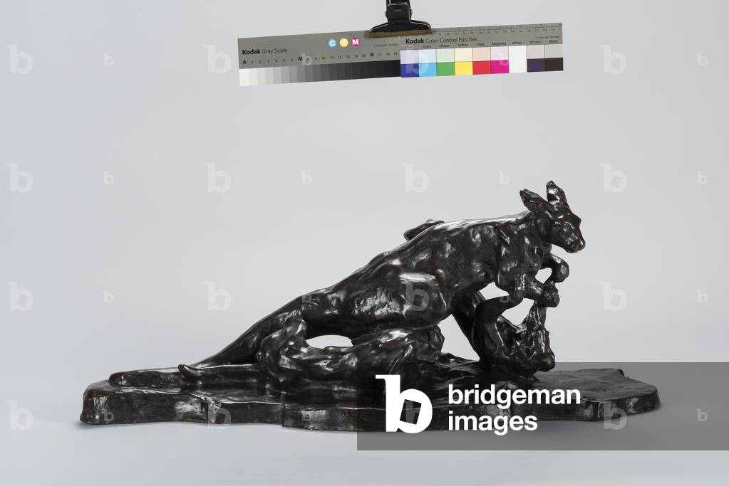 Kangaroo and Dog, 1905 (bronze)