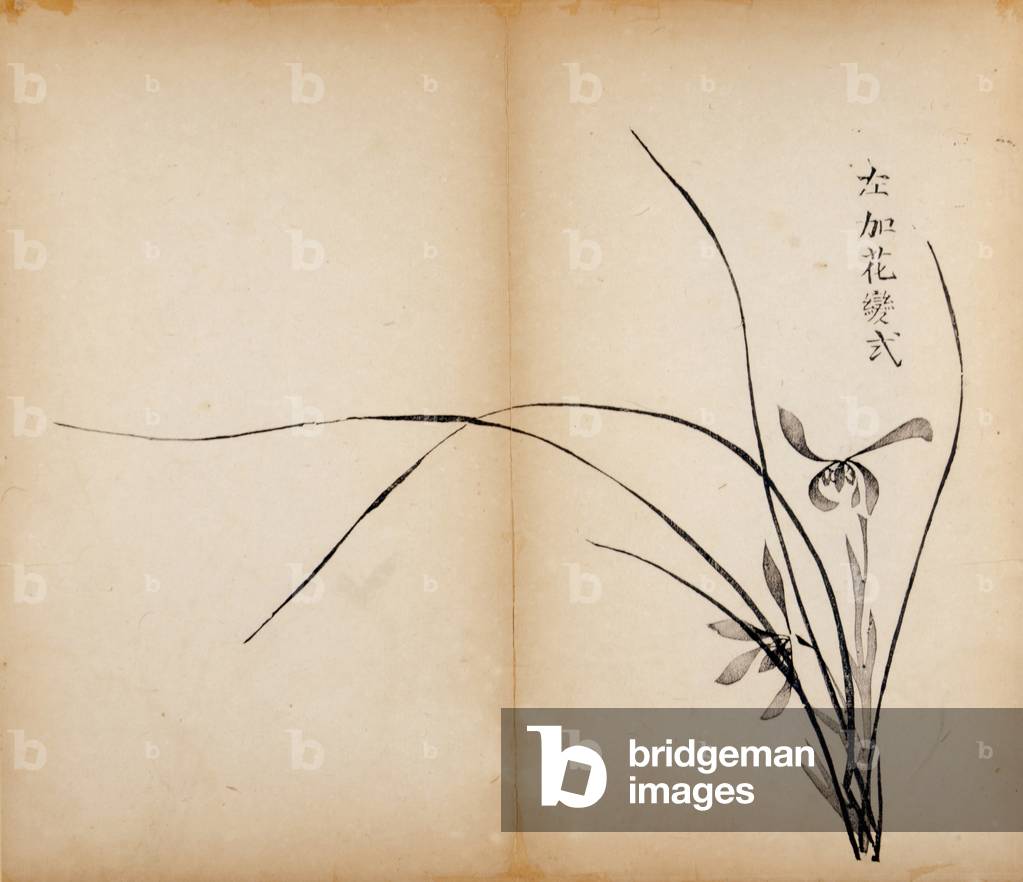 Ten Bamboo Studio Prints,1643 (woodblock)