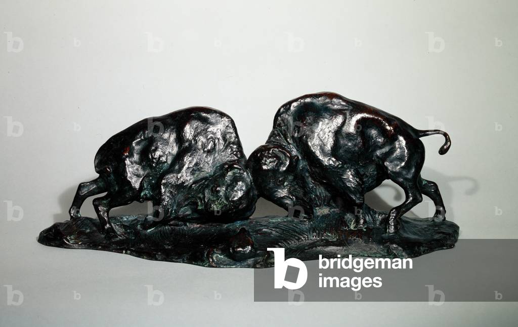 Two Fighting Buffalo, 1900 (bronze)