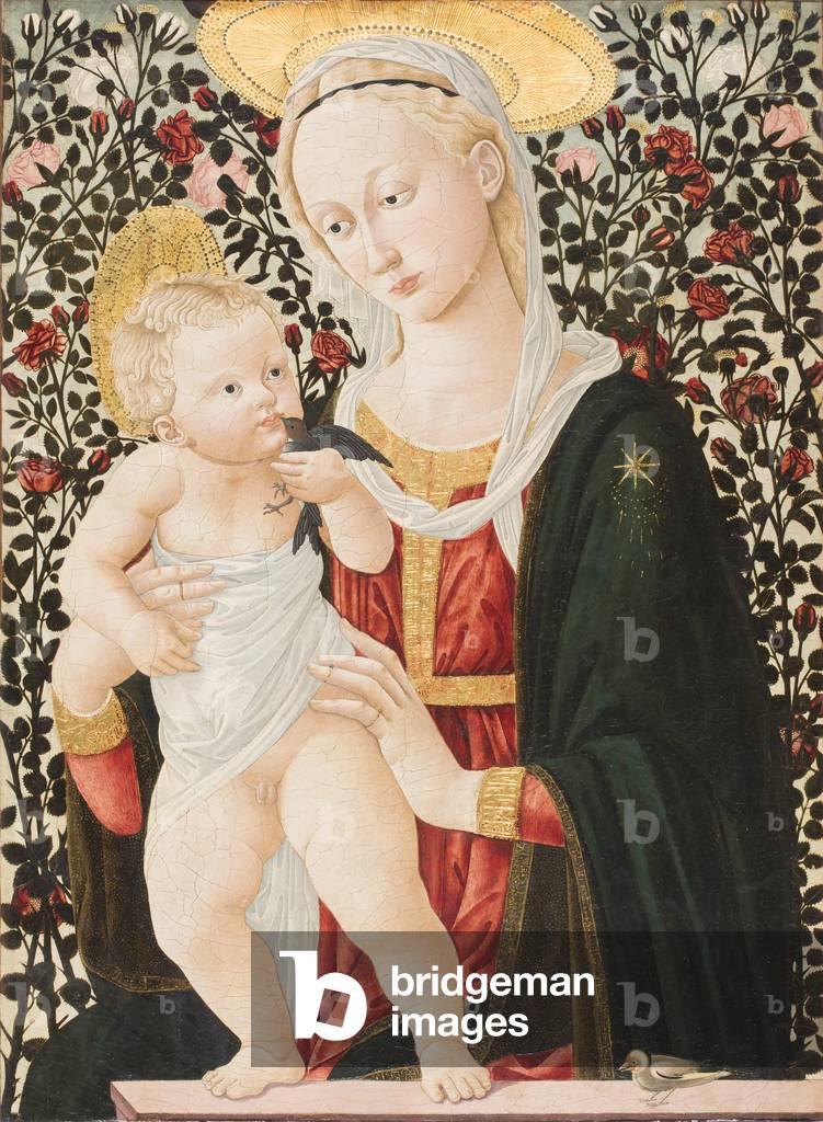 Madonna of the Roses, c.1485-90 (tempera)