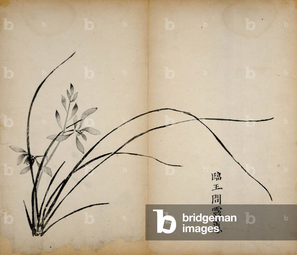 Ten Bamboo Studio Prints,1643 (woodblock)