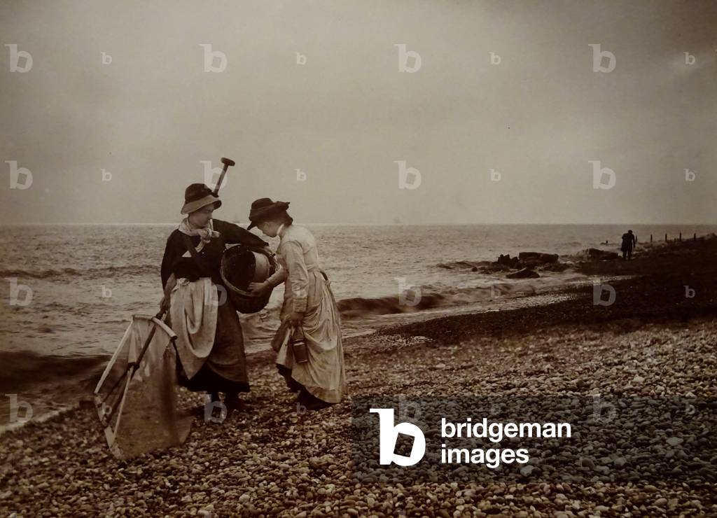 Fishing shrimps (b/w photo)