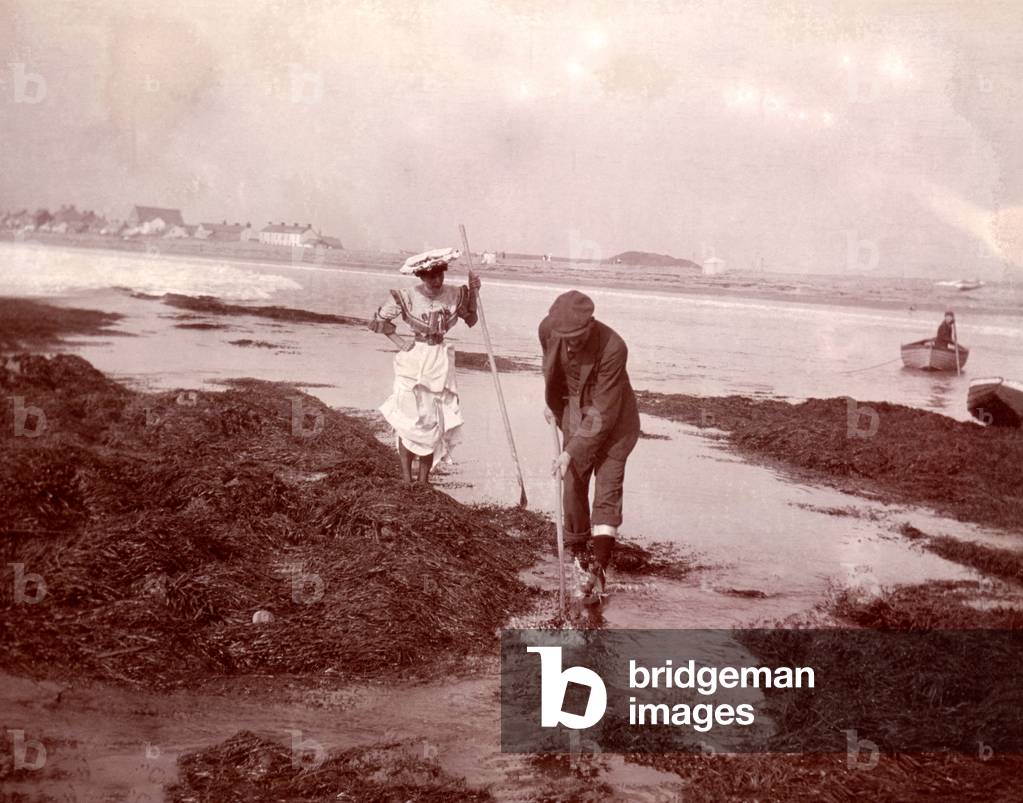 Tourists Shrimping, c.1890 (albumen print photo)