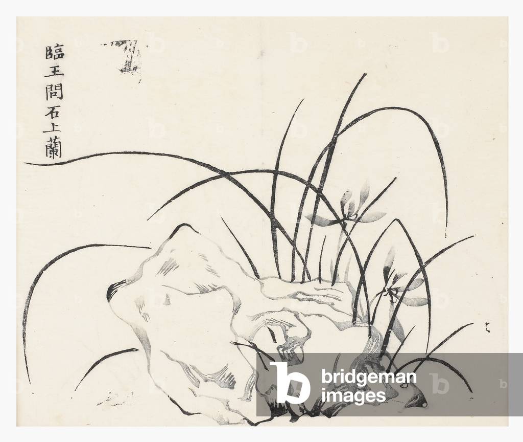 Ten Bamboo Series, 18th century (Print)