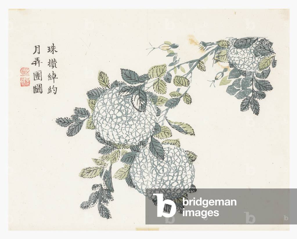 Mustard Seed Garden, 1796-1820 (wood block)