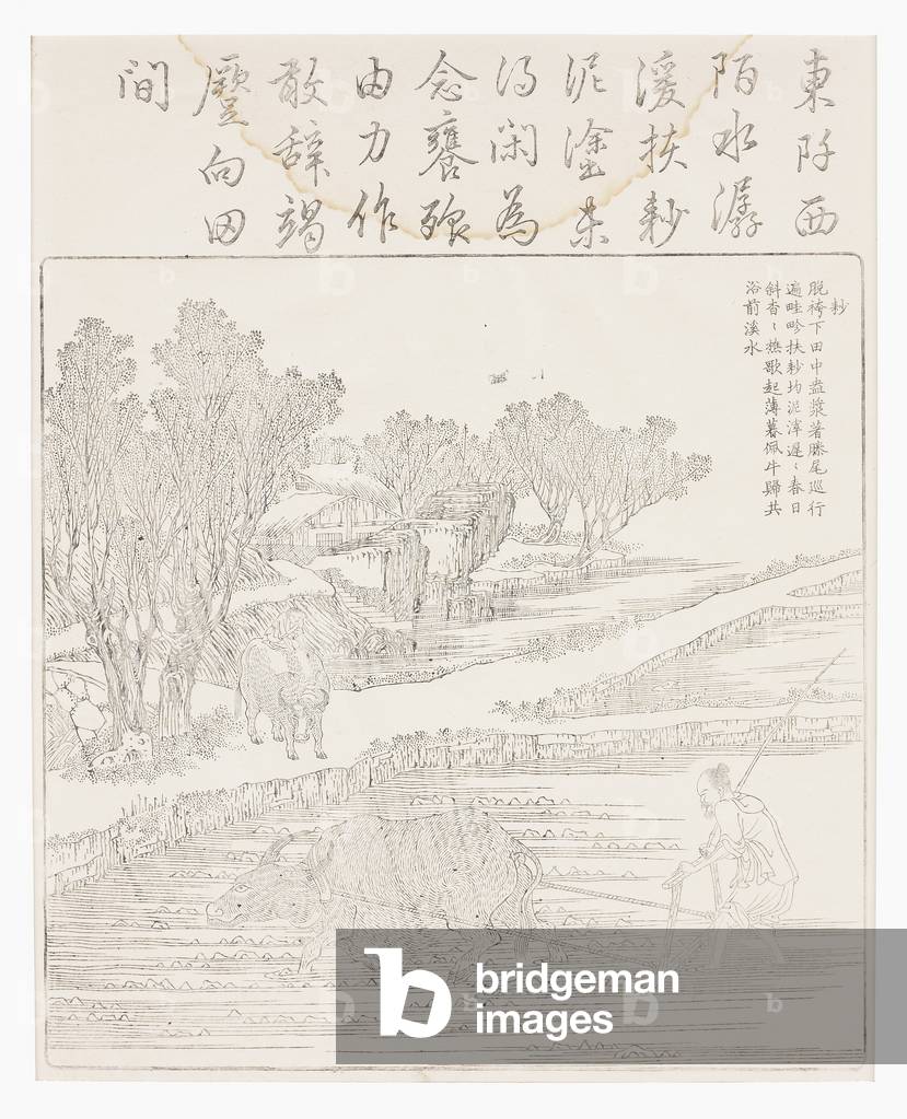 Tilling rice paddy in dry weather, 18th
century (Woodcut)