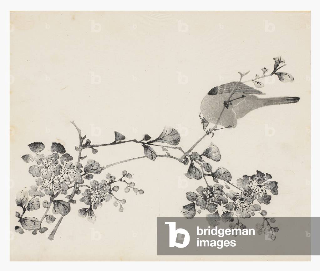 Ten Bamboo Series, 18th century (Print)