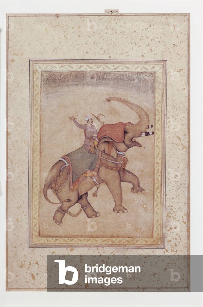 Elephant and mahout (elephant driver), ca.
1595-1600 (Opaque w/c, ink and gold on paper)