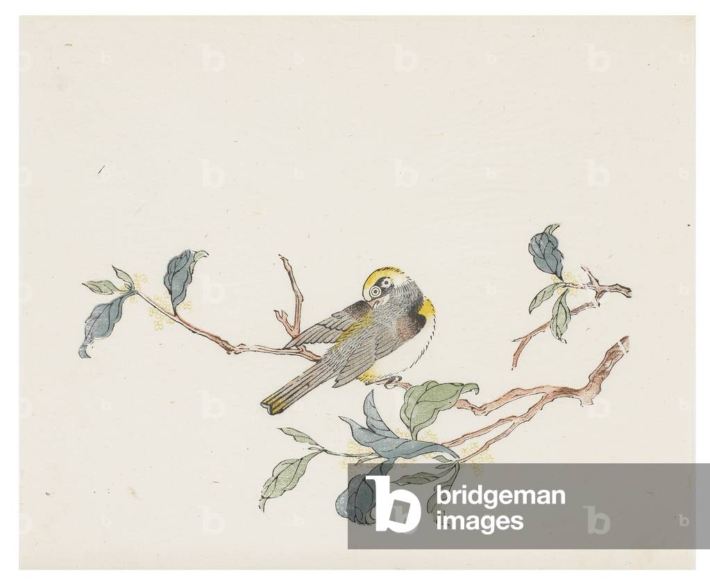 Ten Bamboo Series, 18th century (Print)