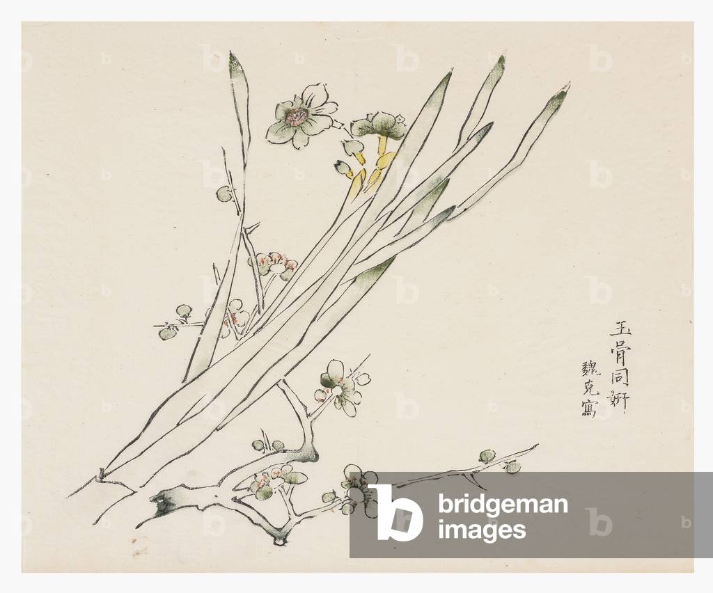Ten Bamboo Series, 18th century (Print)