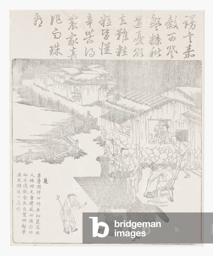 Sifting the rice, 18th century (Woodcut)