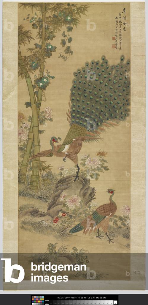 Peacock (ink and colour on paper)