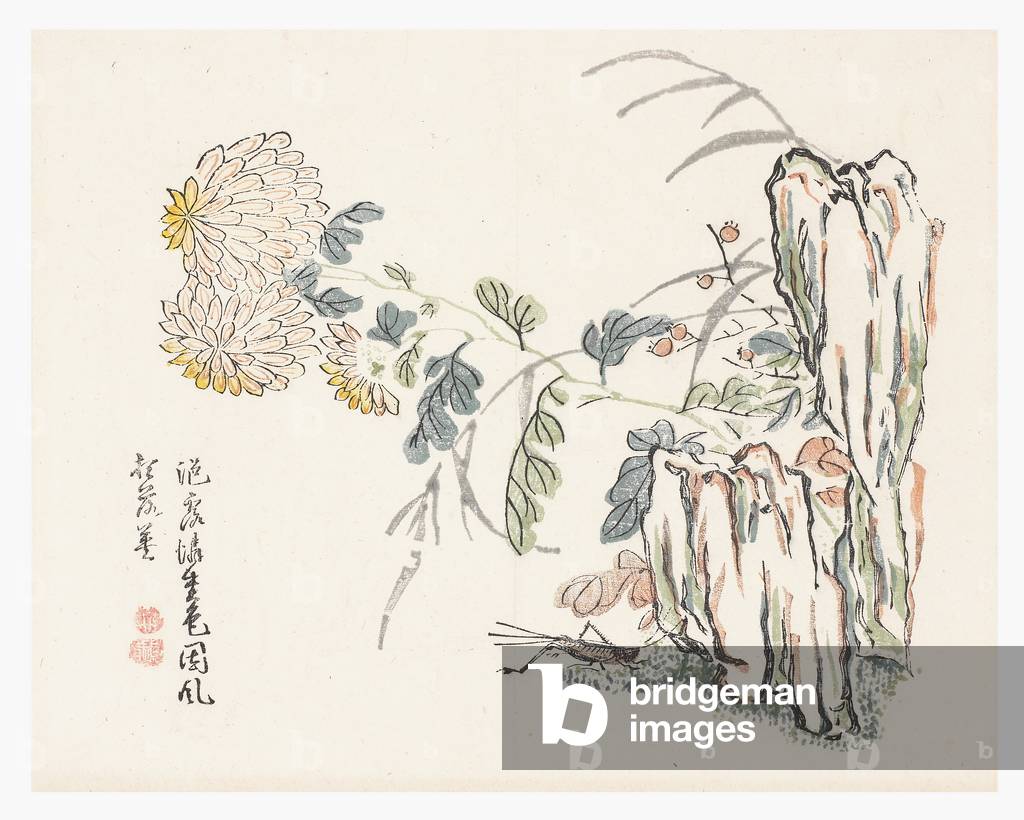 Chrysanthemum, Mustard Seed Garden
Manual, 1796-1820 (Woodblock print)