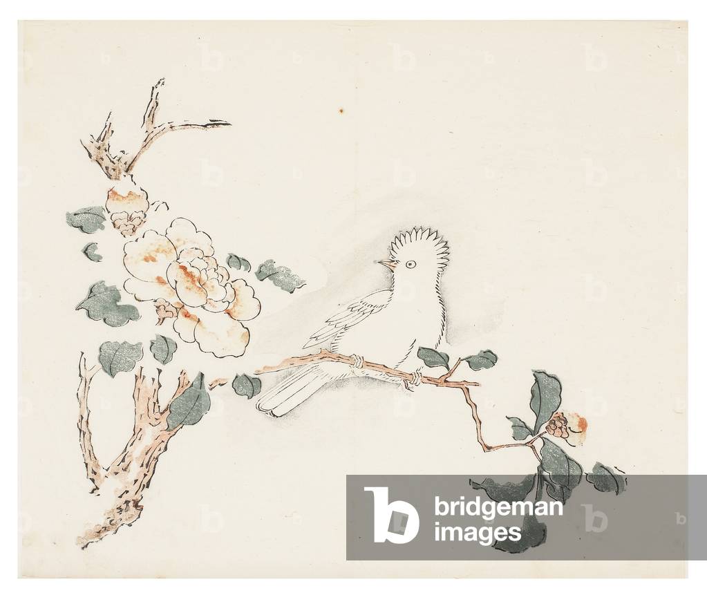Ten Bamboo Series, 18th century (Print)