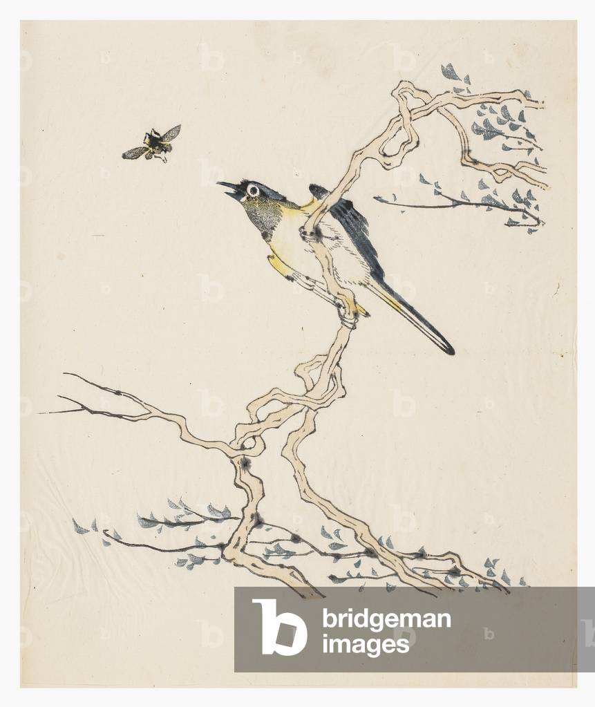 Ten Bamboo Series, 18th century (Print)