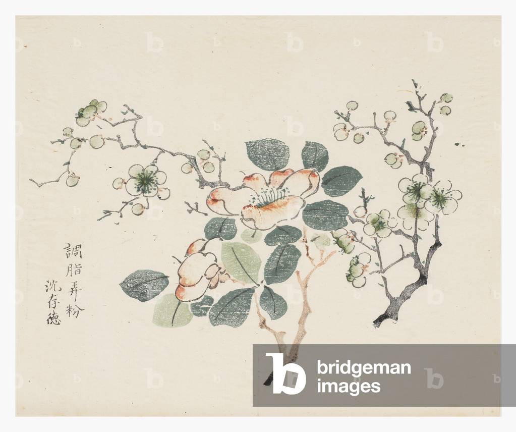Ten Bamboo Series, 18th century (Print)