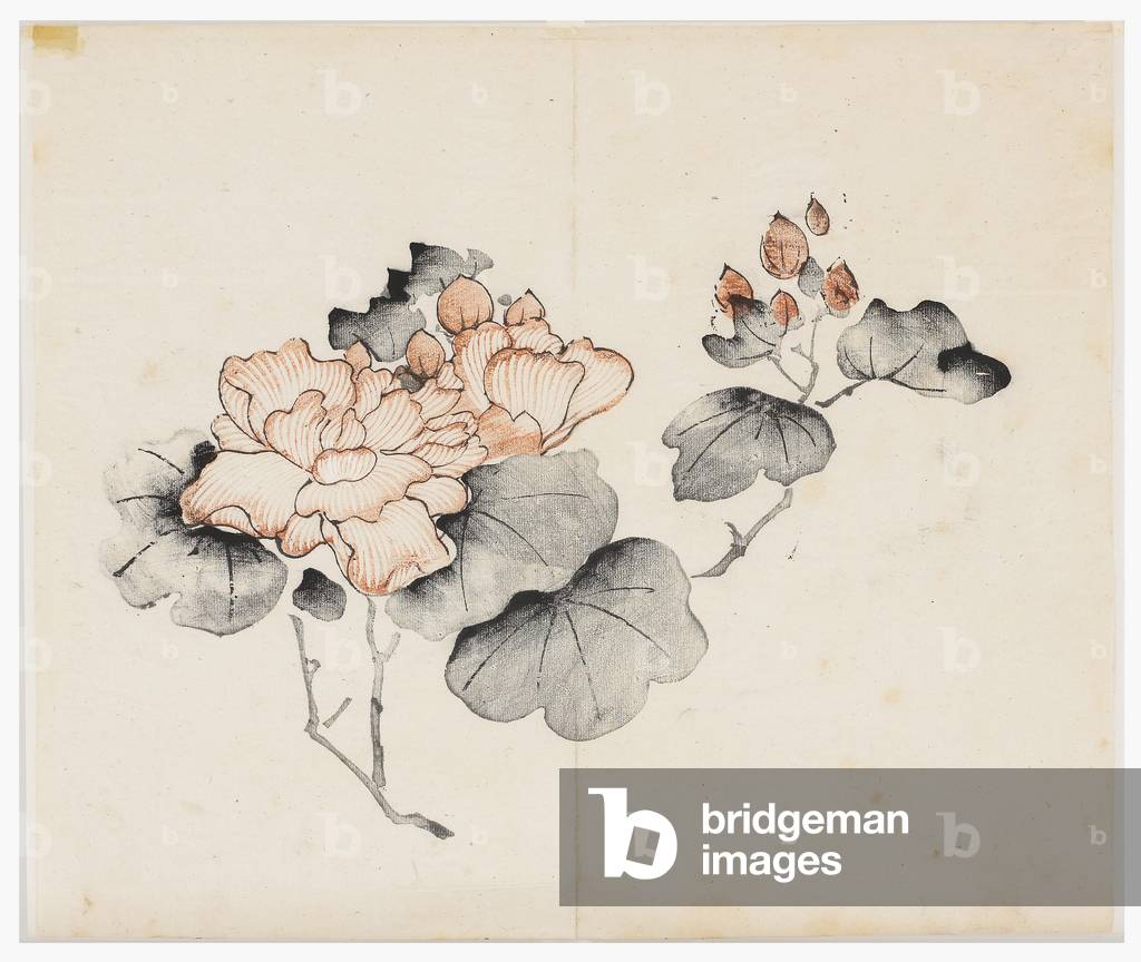 Ten Bamboo Series, 18th century (Print)
