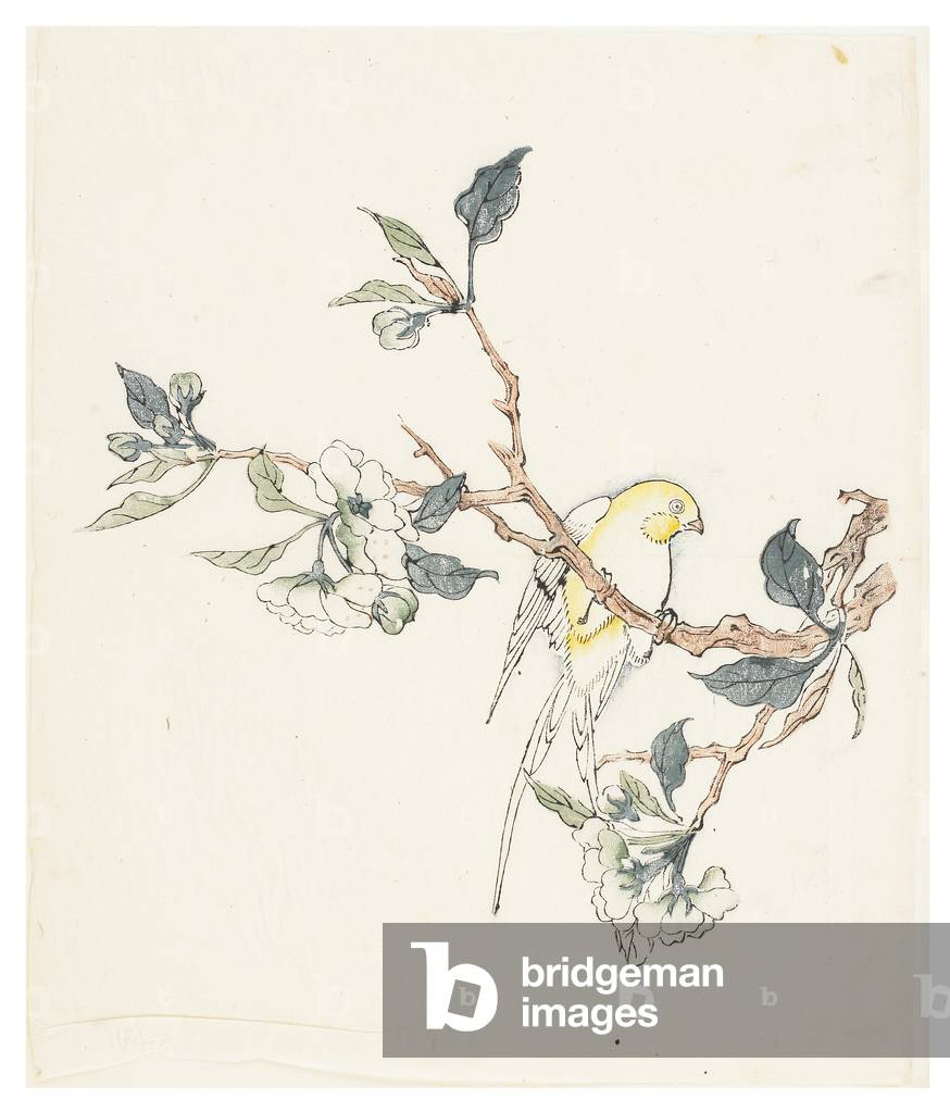 Ten Bamboo Series, 18th century (Print)