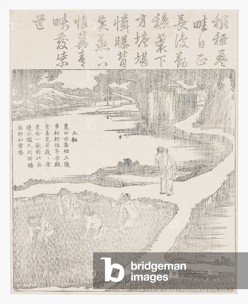 Working in the paddy, 18th century (Woodcut)