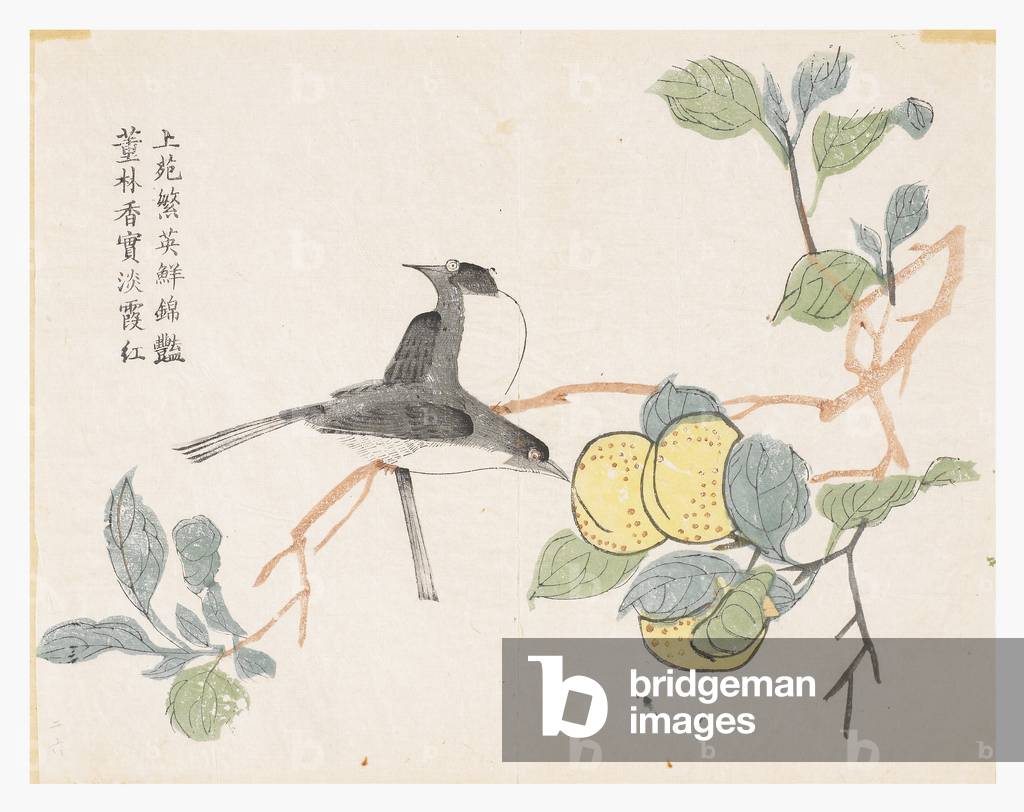 Mustard Seed Garden, 1796-1820 (wood block)