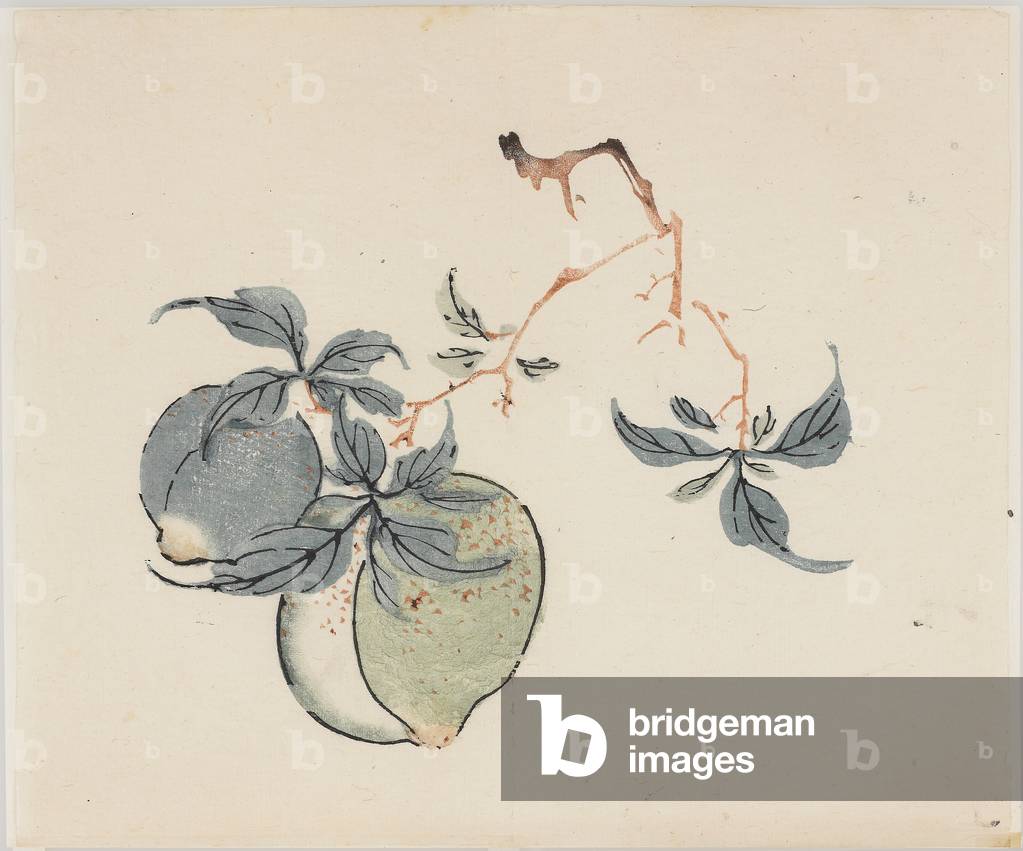 Ten Bamboo Series, 18th century (Print)