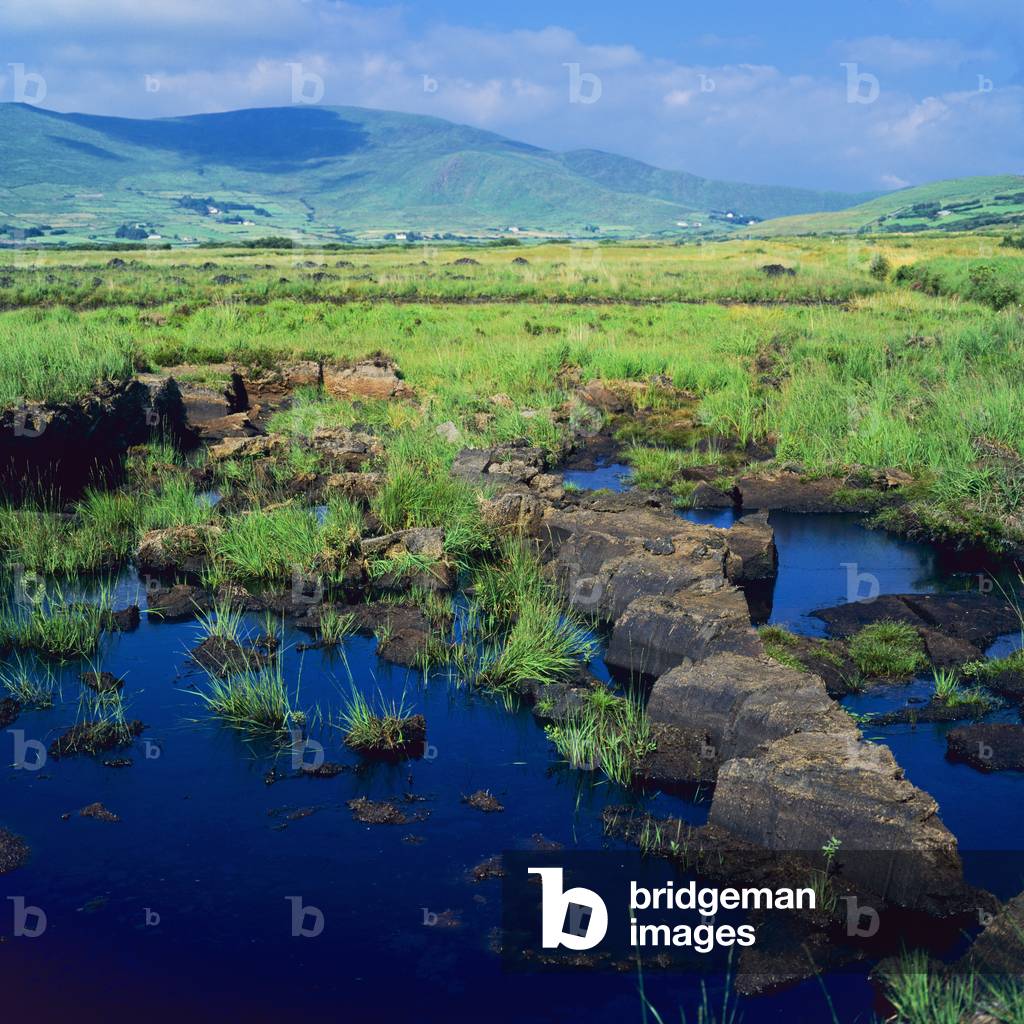 View of a peat bog, County Kerry, Ireland (photo)