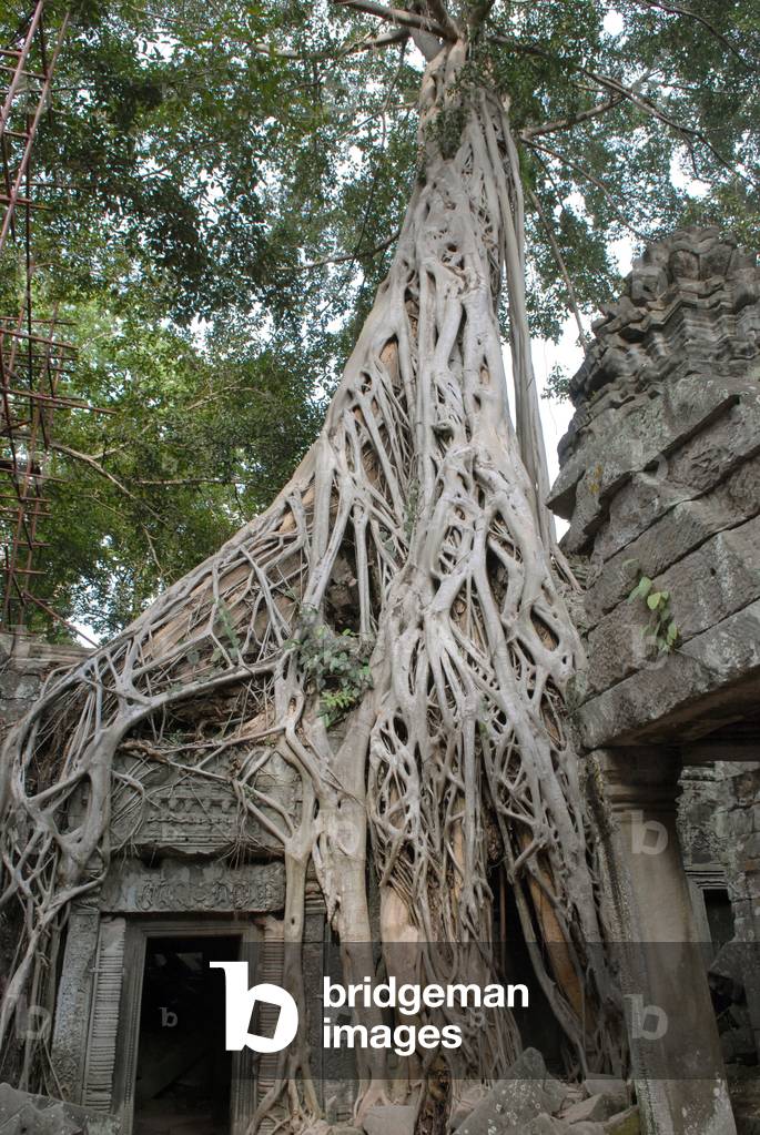 Angkor : le Ta Prohm, 2007 (photo)