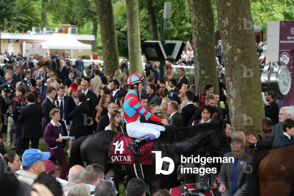 Prix de l'Arc de Triomphe, 2013 (photo)