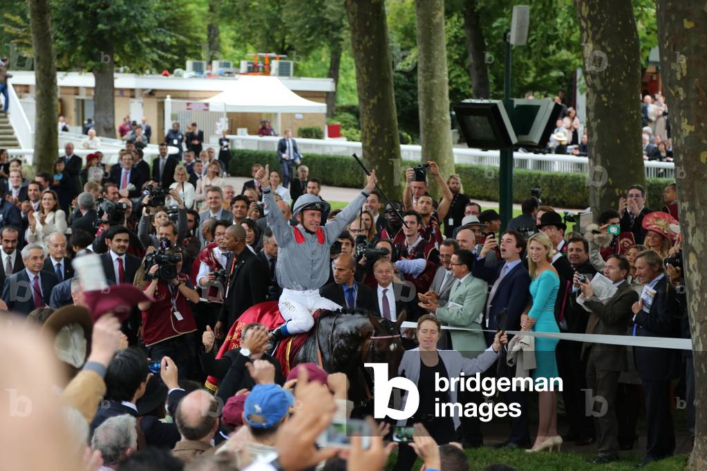 Prix de l'Arc de Triomphe, 2013 (photo)