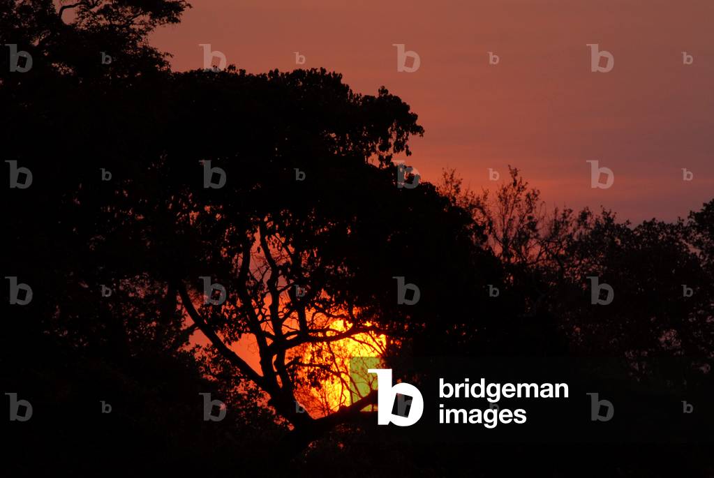 Busanga Plains, Zambia, Kafue National Park, November 2006 : sunset on Lunga river, 2006 (photo)