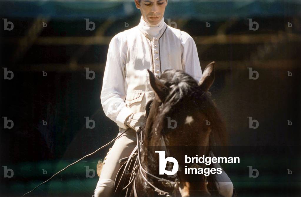 Portuguese horse riding